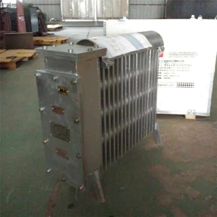 乐森 RB2000/127电热取暖器20公分厚 煤矿隔爆型电热取暖器价格