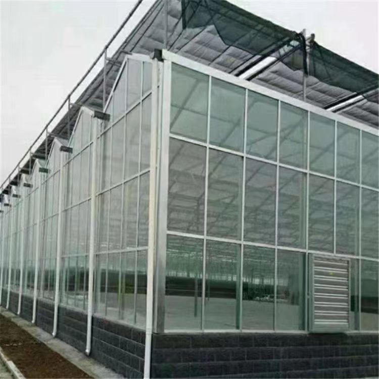 金乡智能玻璃温室大棚  玻璃日光温室 玻璃温室大棚农用厂家直销可定制图片