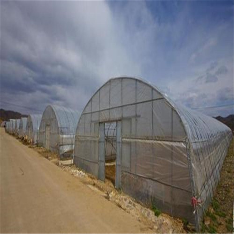 贵州建造温室大棚的公司 水产温室大棚价格 旭航温室