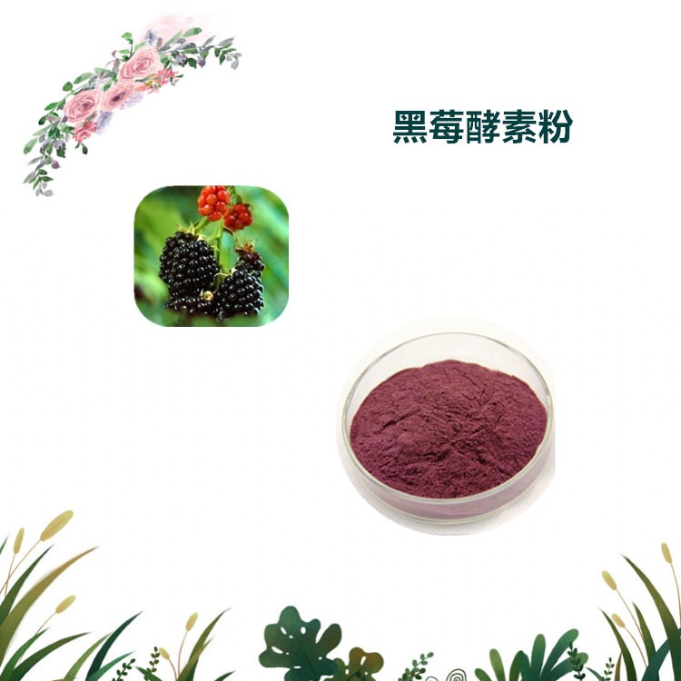 益生祥生物 黑莓酵素粉 黑莓提取物 黑莓速溶粉 质量稳定 1公斤起订图片