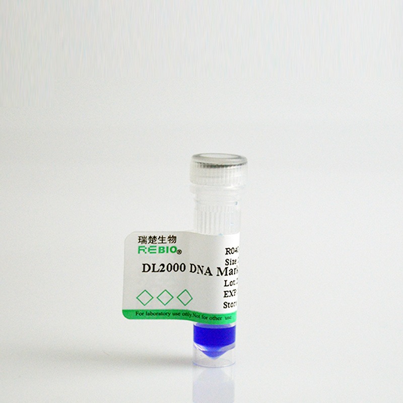 DL2000 DNA Marker 核酸电泳 250ul R04041