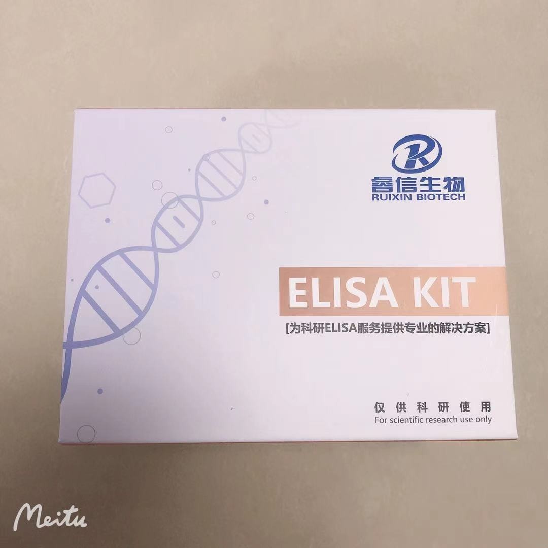 睿信生物 大鼠 （DA）elisa试剂盒-竞争法图片