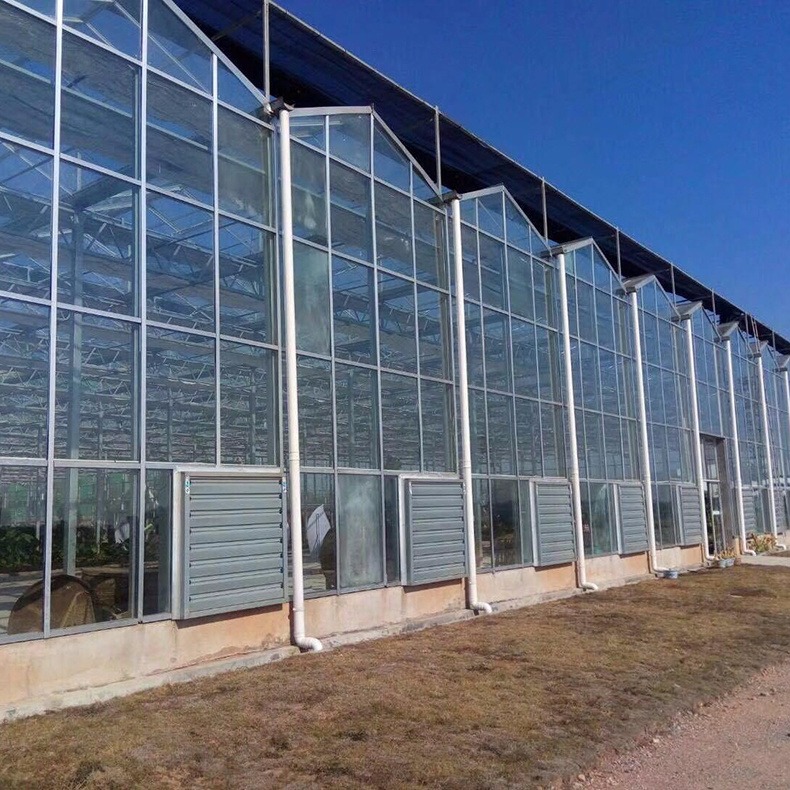 玻璃温室大棚, 苏州新型温室大棚,新型温室大棚建设厂家
