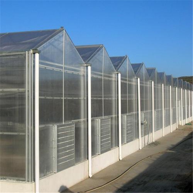 隔热保温大棚 广东文洛型玻璃温室 旭航温室大棚建设