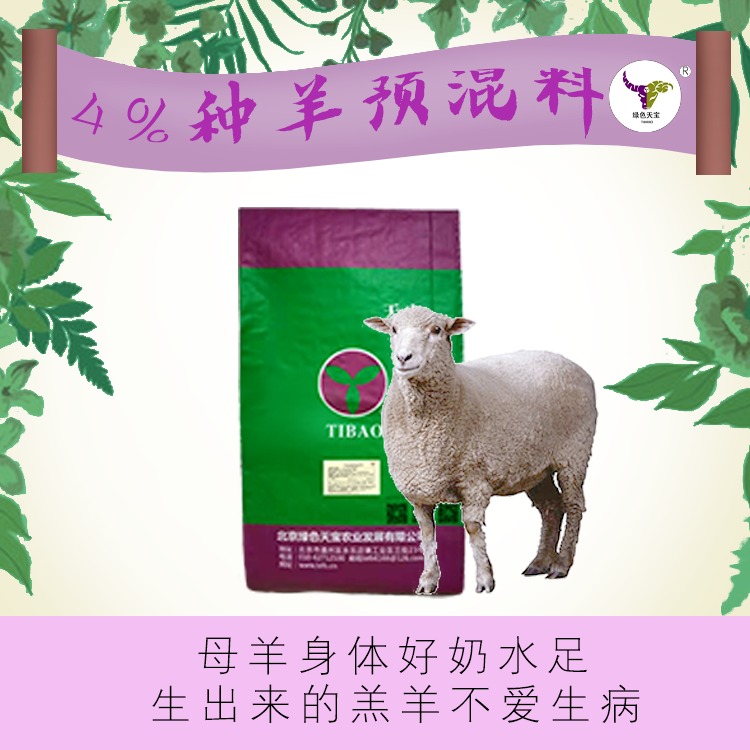 北京绿色天宝 母羊养殖 母羊预混料 养殖母羊的工作任重而道远 养好母羊很关键 要做好母羊怀孕期及产后的饲养管理。