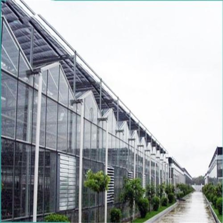 文洛式智能温室 花卉展示大棚建设厂家  旭航