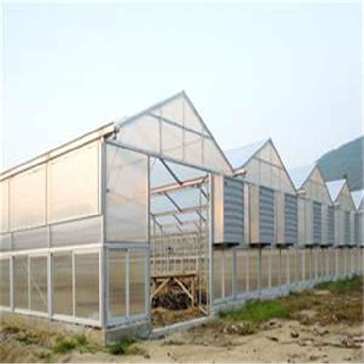 吉林阳光智能蔬菜大棚 双层空心阳光板大棚 旭航温室大棚建设