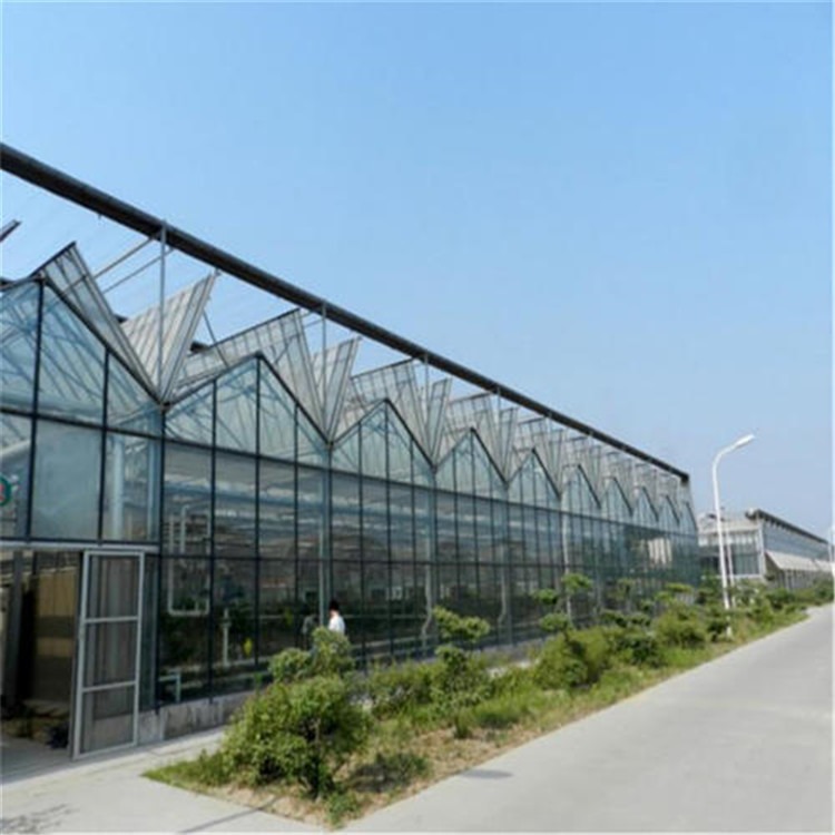 猴腿蔬菜大棚 观光玻璃温室厂家 旭航温室大棚建设