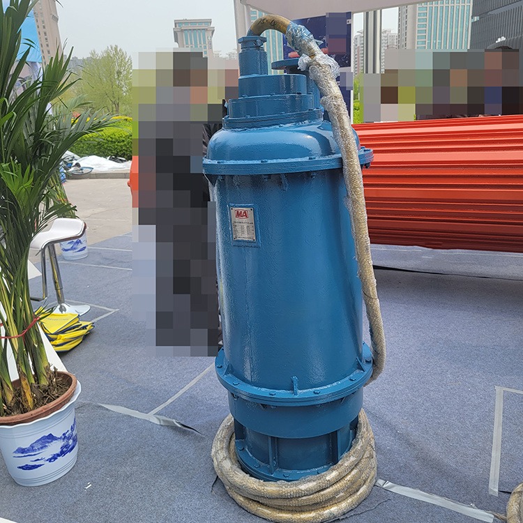 智创 ZC-1 矿用新型隔爆潜水排沙电泵 移动式应急排涝泵 立式深井排沙泵图片