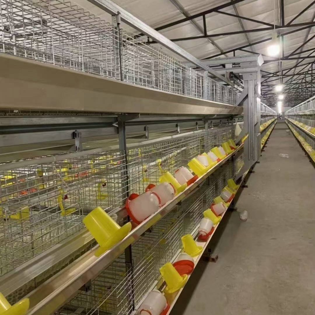养鸡设备适合规模化高密度养殖层叠式阶梯式蛋鸡笼 肉鸡 育雏 种鸡 本交 喂料系统 清粪系统 集蛋系统 温控系统柏业