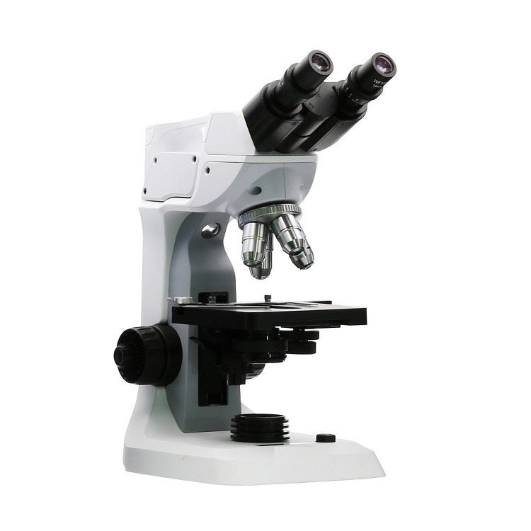 双目教学显微镜 不带电池 型号:GZ22-AC2 库号：M406834图片