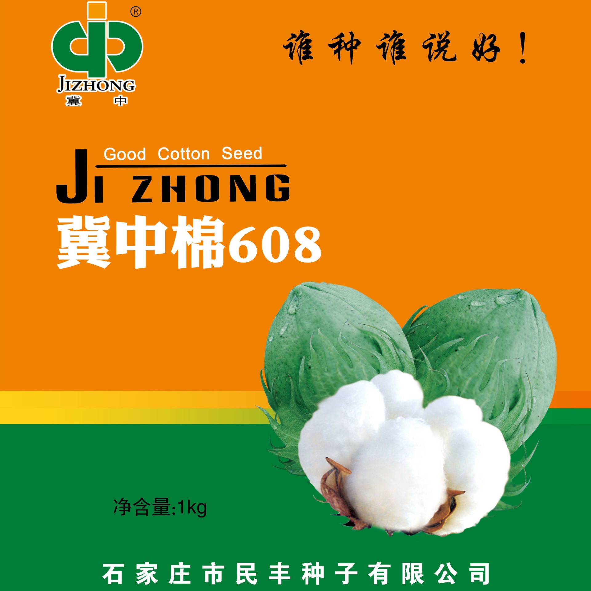 冀中棉608  棉花种子  民丰棉花种子 转基因抗虫棉  高产高品质棉种图片