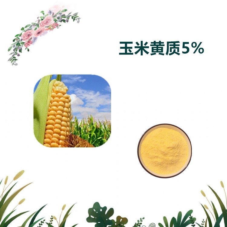 益生祥生物 玉米黄质5% 玉米提取物 喷雾干燥粉 食品级 可水溶