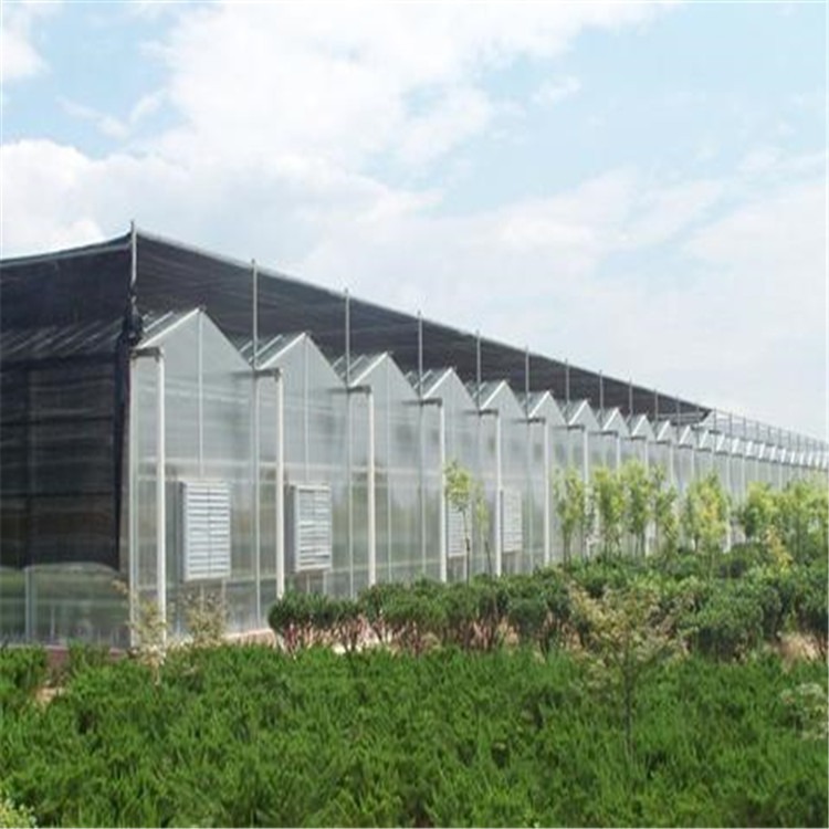 西瓜养殖大棚生产厂家 碳纤维发热板温室 旭航温室图片