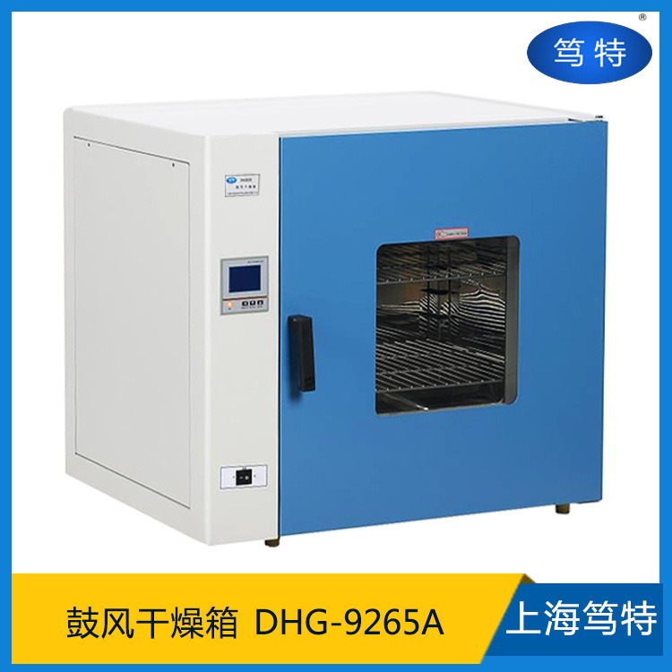 笃特DHG-9265A大型电热恒温烘箱高温实验干燥箱工业烘干箱老化干燥箱