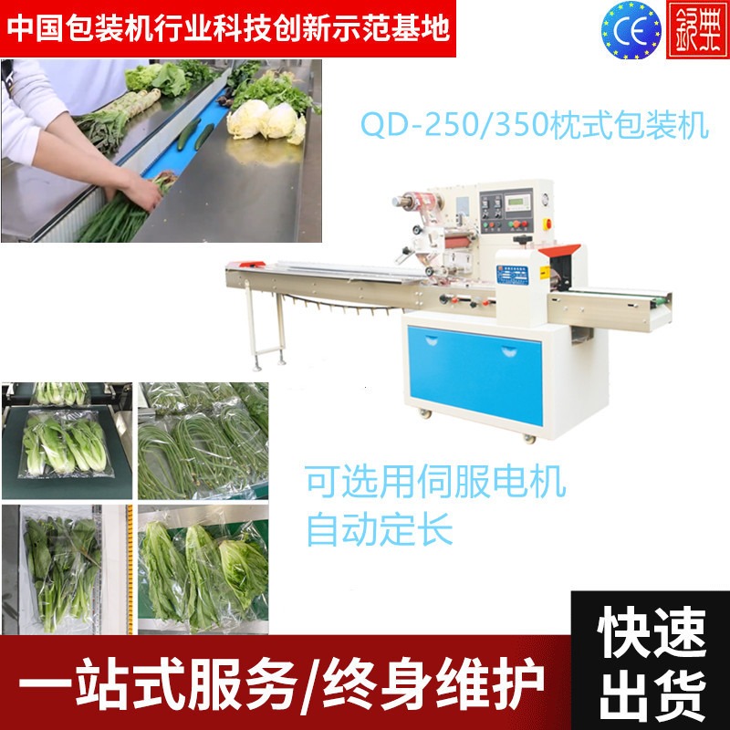 供应上海钦典QD-250苹果橙子多功能全自动封口设备 枕式智能打包机 蔬菜水果包装机