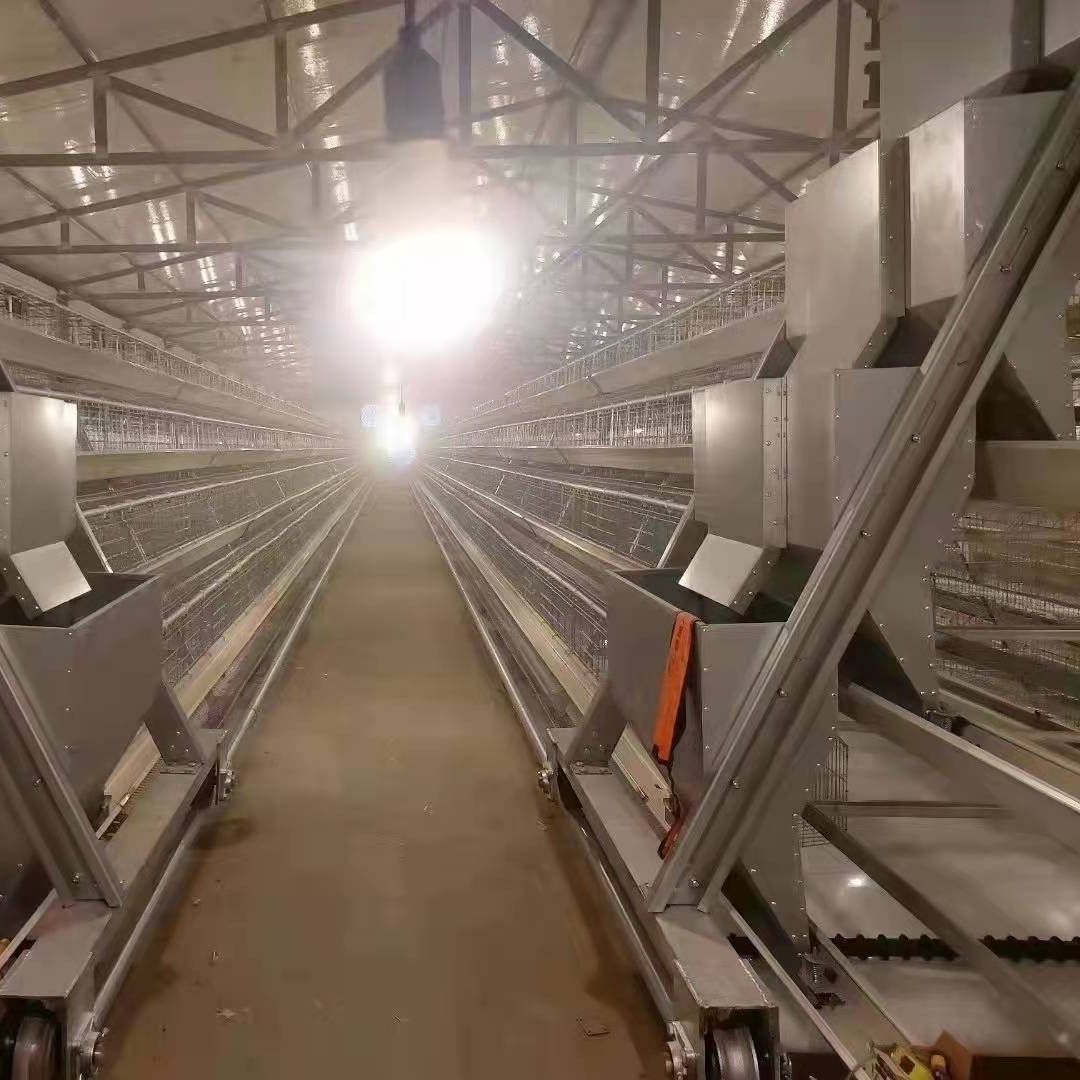 信必达 厂家直销养殖设备养鸡鸡笼 三层四层阶梯式蛋鸡笼 镀锌铁丝网鸡笼