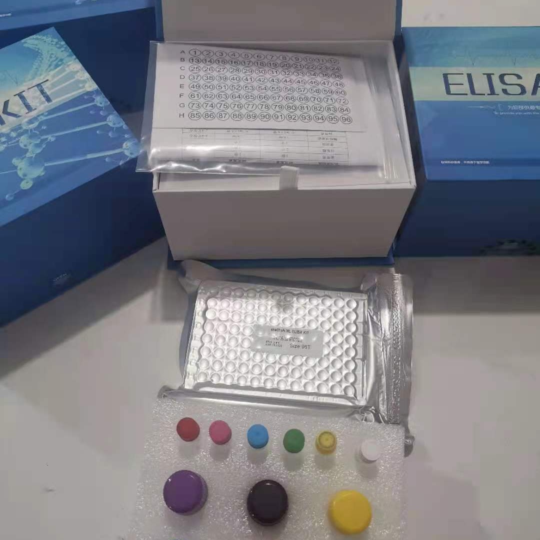 elisa试剂盒原理 大鼠ELISA试剂盒 雌二醇检查 睿信生物