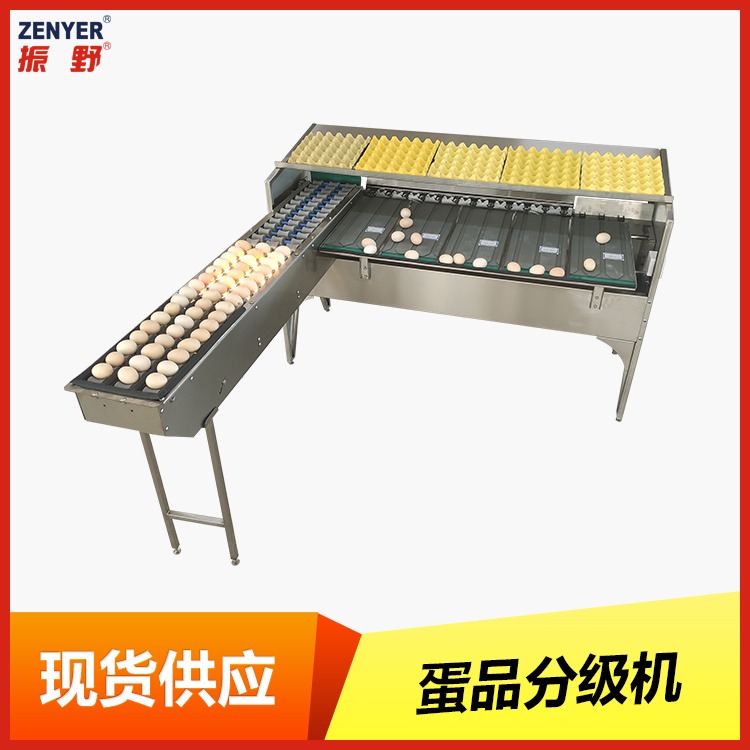 振野ZYF-J3-L(R) 304不锈钢选蛋机厂价直销家用自动蛋品分级机图片