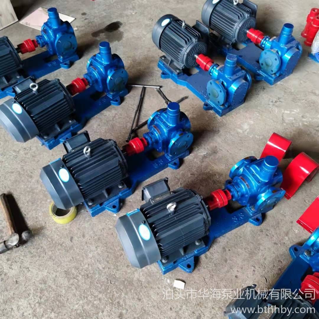 华海泵业 直销YCB60圆弧齿轮油泵头 电动圆弧泵规格多种