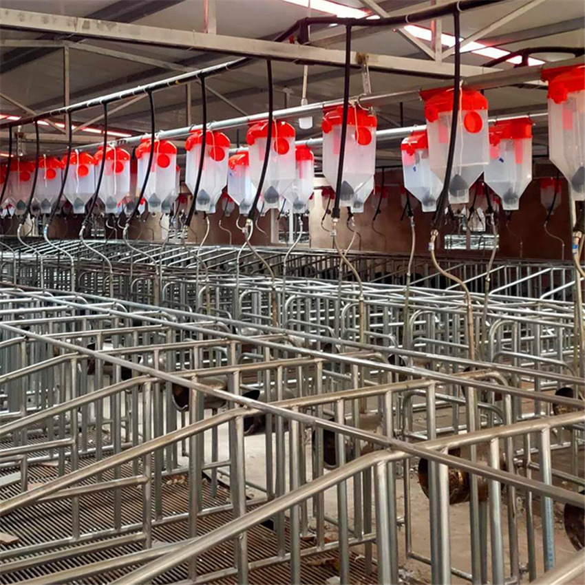 落地母猪定位栏 尺寸可定制 2.5热镀锌限位栏 养猪设备产床 猪哈哈源头供应