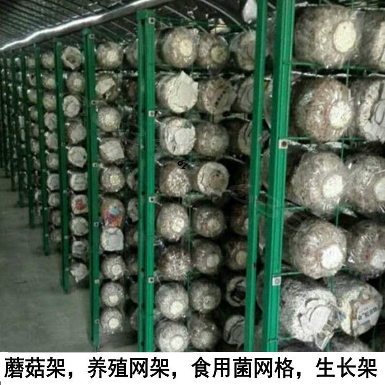 蘑菇架旺沃厂家直销支持定做食用菌养殖网网格蘑菇网床生长架 网片