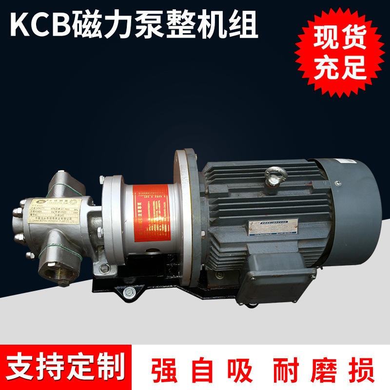 磁力泵 不锈钢磁力齿轮泵 耐腐蚀 零泄漏 精选厂家可定制