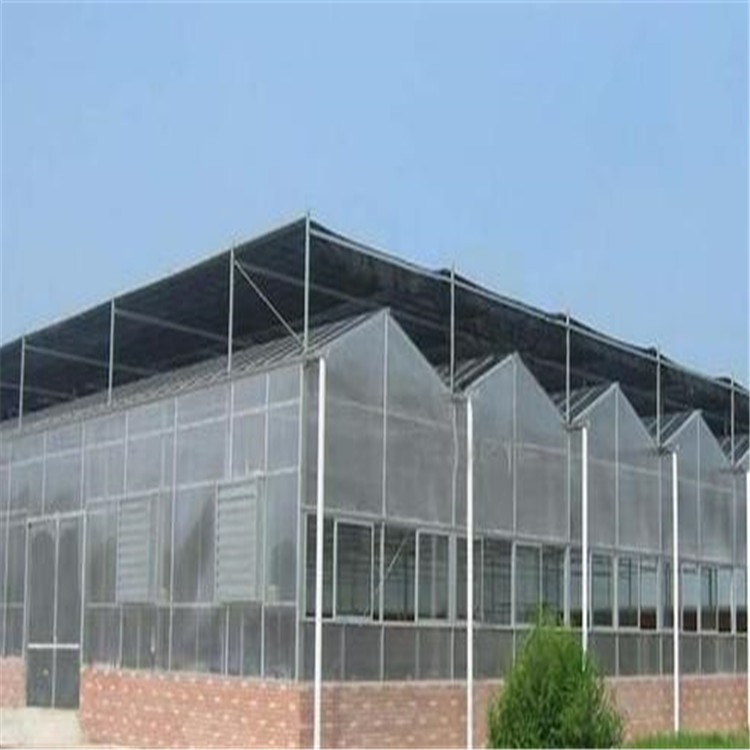呼市玻璃温室厂家 螺纹式连栋大棚造价 旭航大棚造价厂家