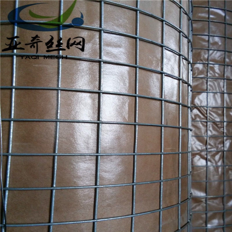 304不锈钢焊接网 编织筛网 镀锌钢丝网  多种型号来厂定做图片