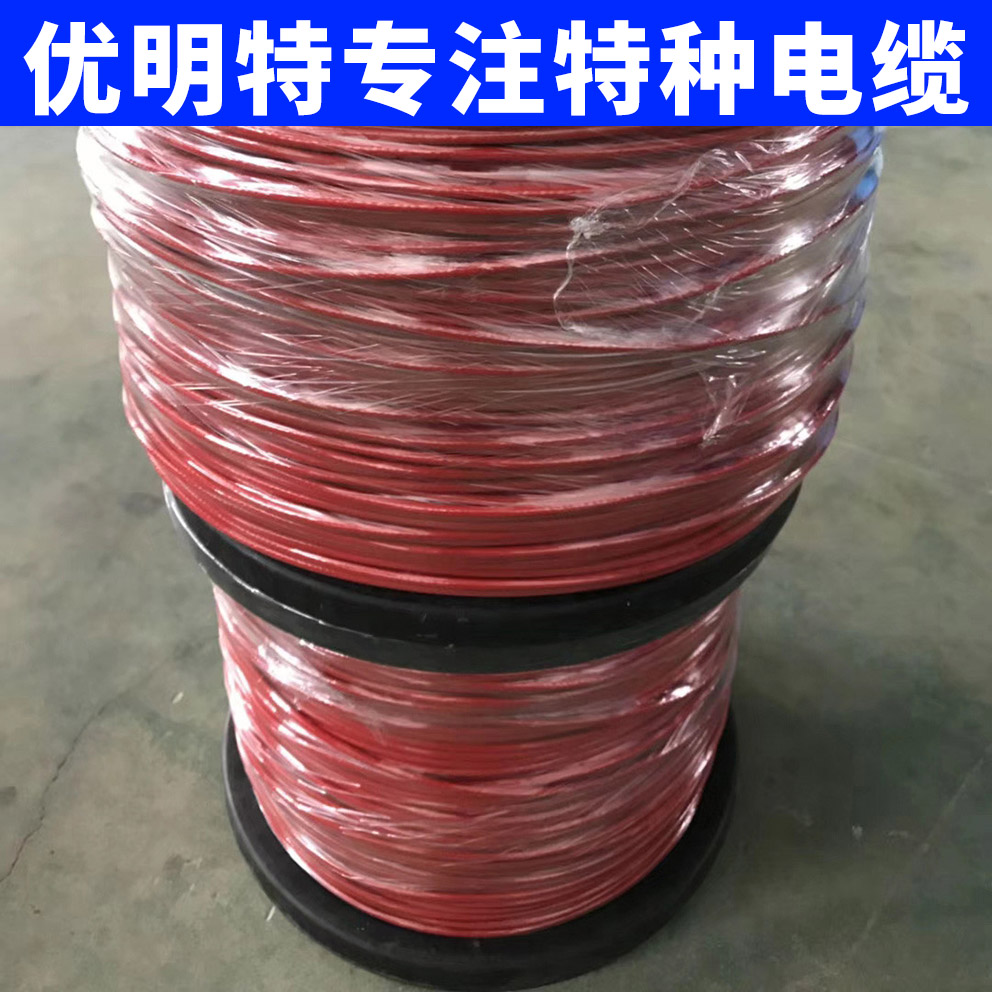 耐腐蚀电缆 防腐蚀专用高温电缆 高温电缆价格
