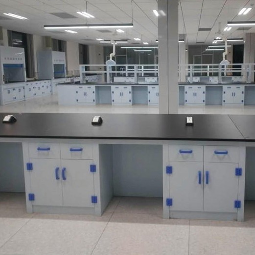 禄米 PCR实验室装修设计公司  LM-PCRZX52304 安装服务一站式