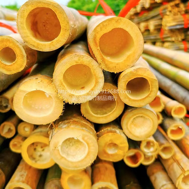 竹韵 竹制品厂家批发2.2米-2.5米3米4米竹竿 早元竹