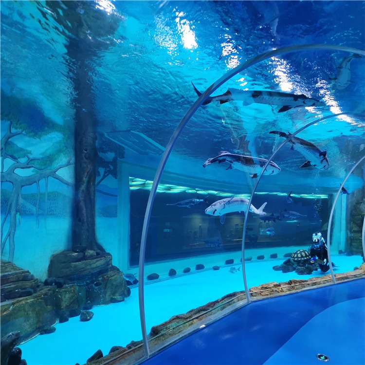 lanhu专业海洋馆设计 主题工程海洋馆鱼缸施工 亚克力鱼缸定制