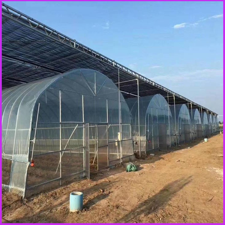 大名透明空心阳光板 馆陶10mm中空阳光板 农业种植大棚PC阳光板