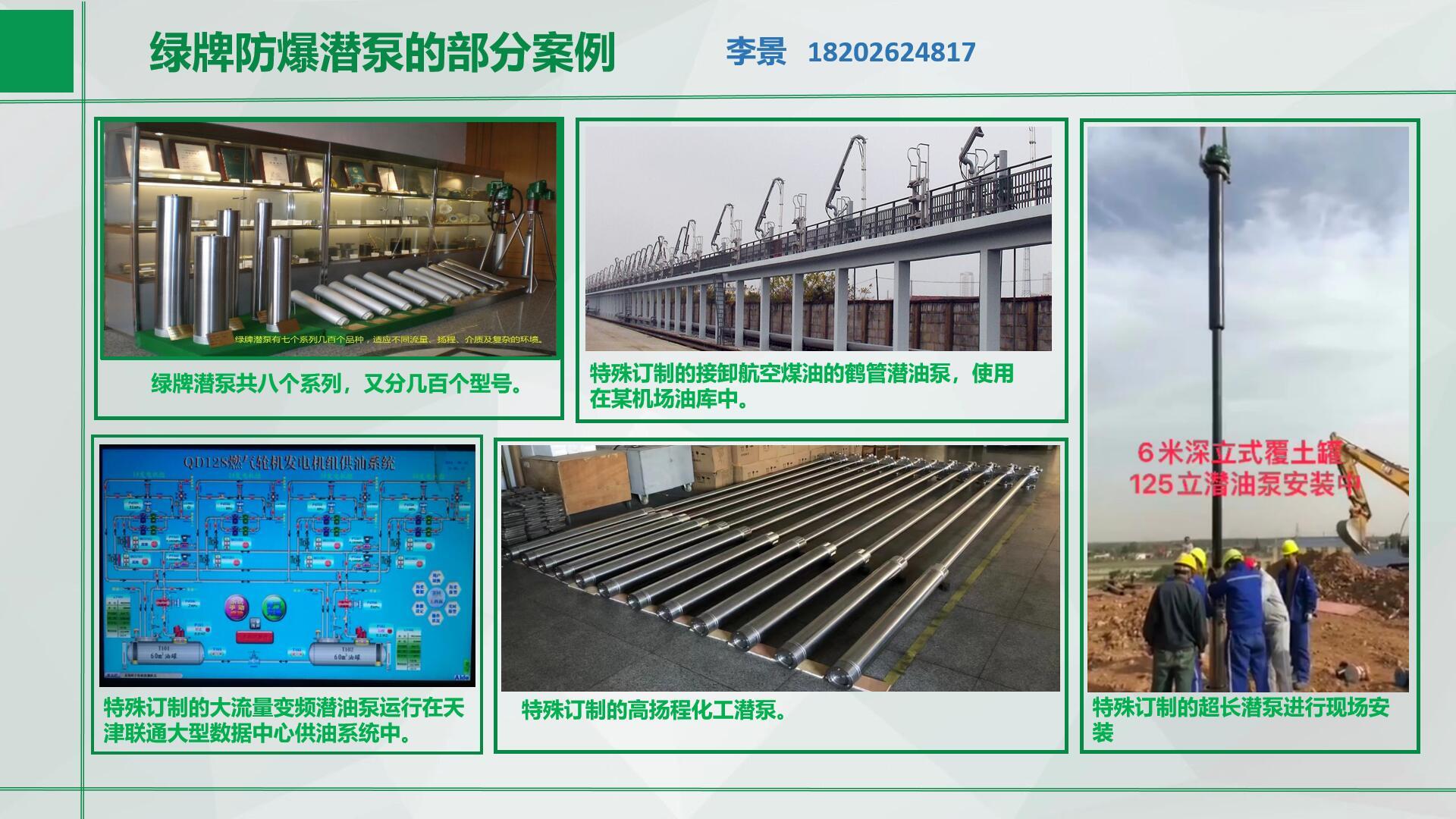 天津绿牌苯胺防爆潜液泵质保三年示例图3