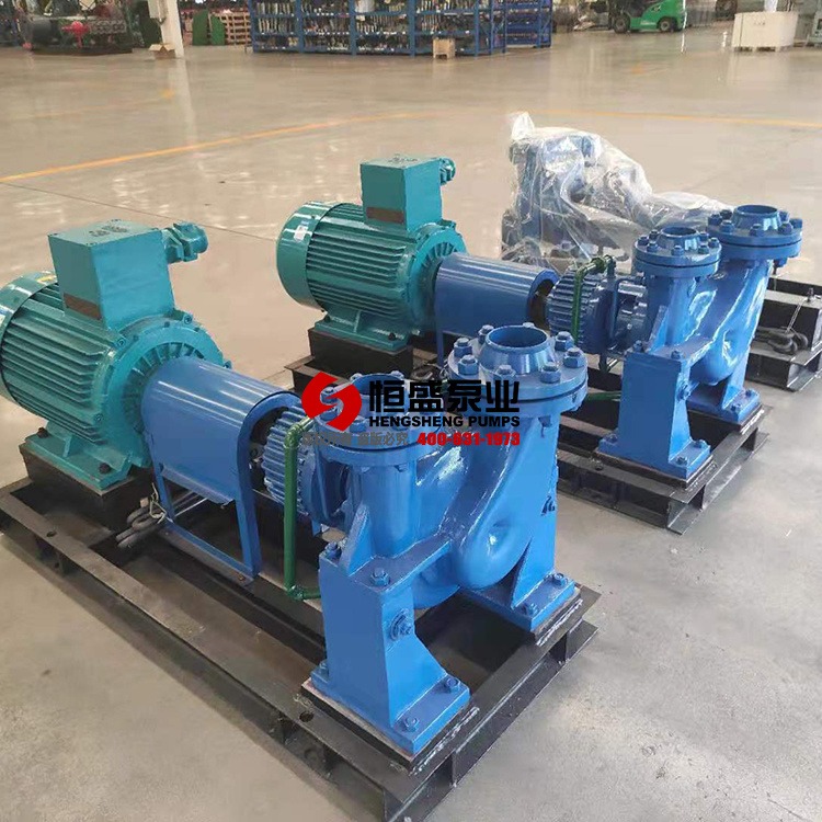 离心油泵,AY单两级离心泵,多级离心泵50AY60A 45余年实力厂家 恒盛泵业直销