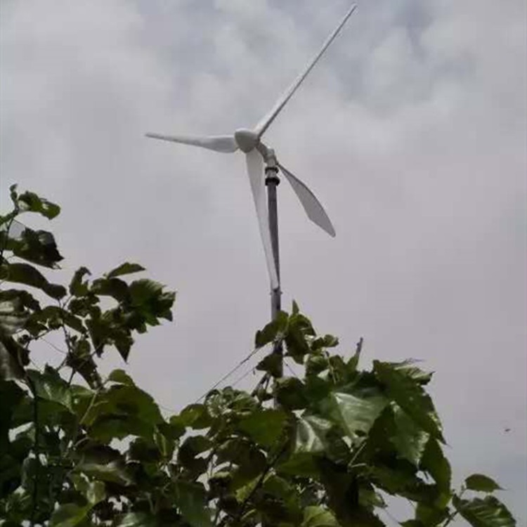 蓝润供应1.5千瓦家用风机 小型风力发电机 家用小型风力发电机 内蒙用风机图片