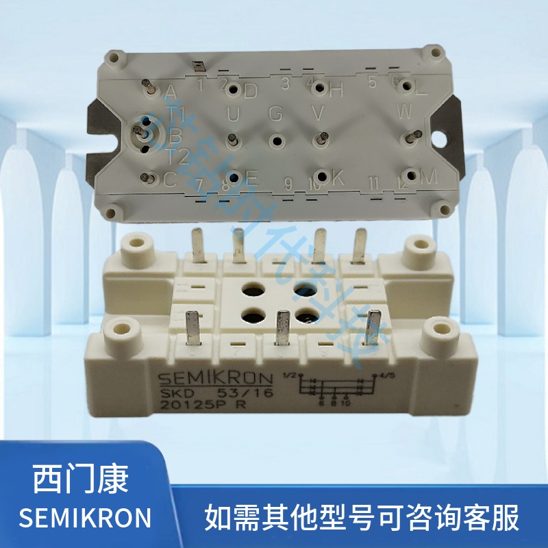 SEMIKRON/西门康全系列原装正品SKDT145/12 SKDT60/14 SKDT115/12 SKDT60/04