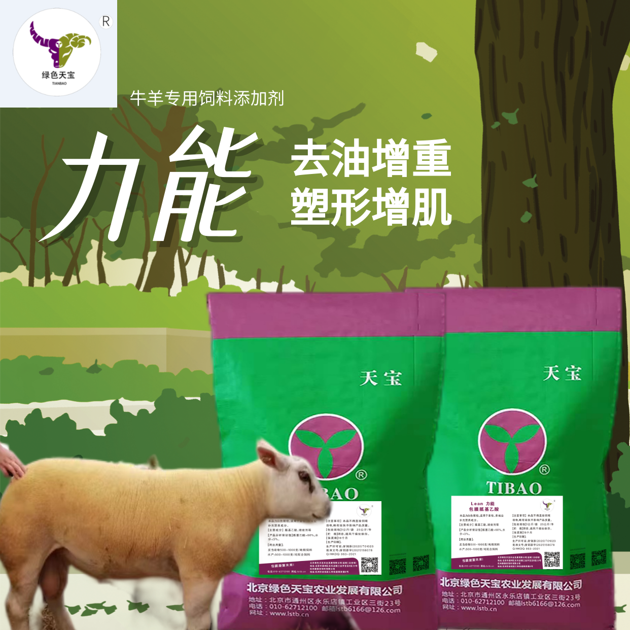 北京绿色天宝饲料添加剂包膜胍基乙酸力能1公斤一包