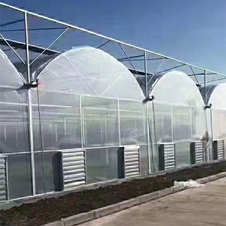 薄膜联动大棚 蔬菜种植大棚 薄膜日光大棚温室