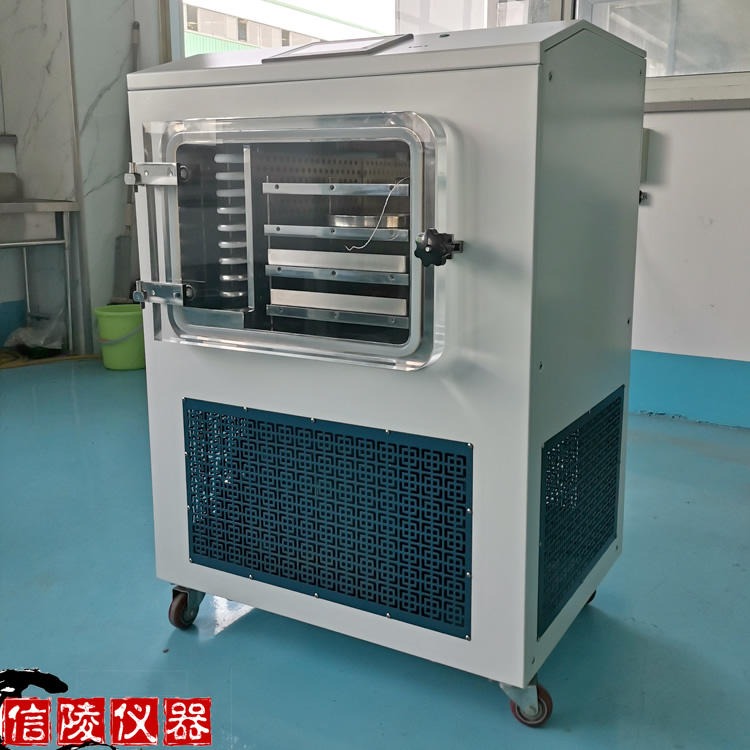 信陵中型冷冻干燥机LGJ-30FD 电加热中型冷冻干燥机 益生菌真空冻干机价格