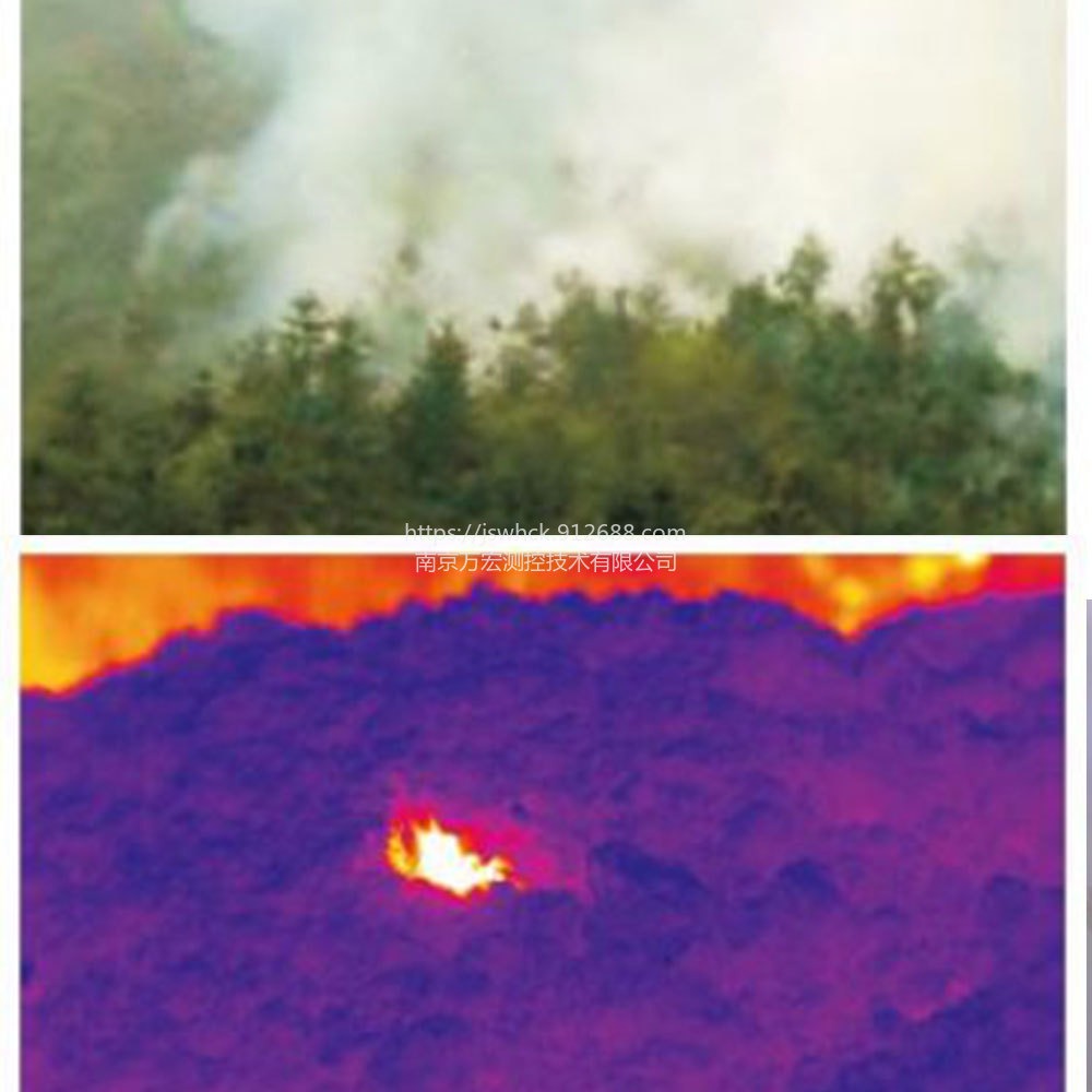 智能森林防火监测系统 森林消防监测预警系统  南京厂家森林火灾预警系统 生产厂家 WHCK/万宏测控
