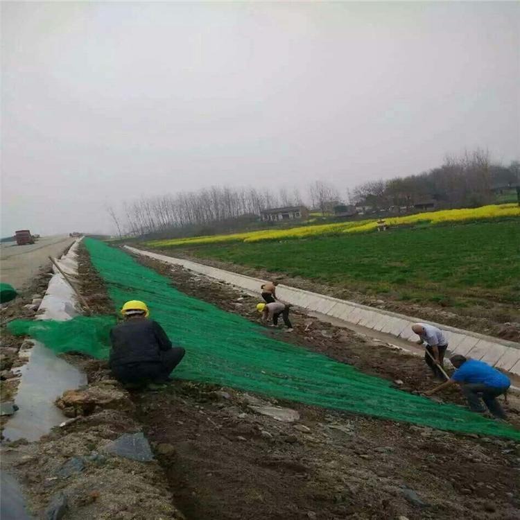 福建南平土工网垫 公路边坡绿化三维植被网 三维土工网垫 众汇三维网图片