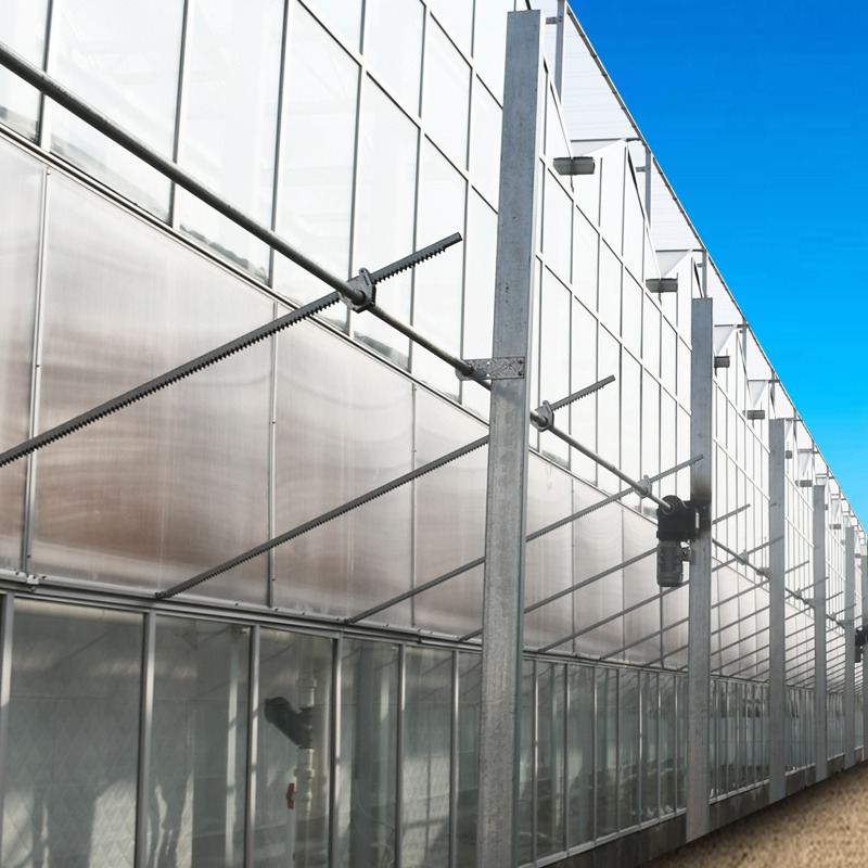 建达温室 玻璃大棚厂家 智能大棚温室 玻璃温室大棚 电动顶开窗 型号可定制