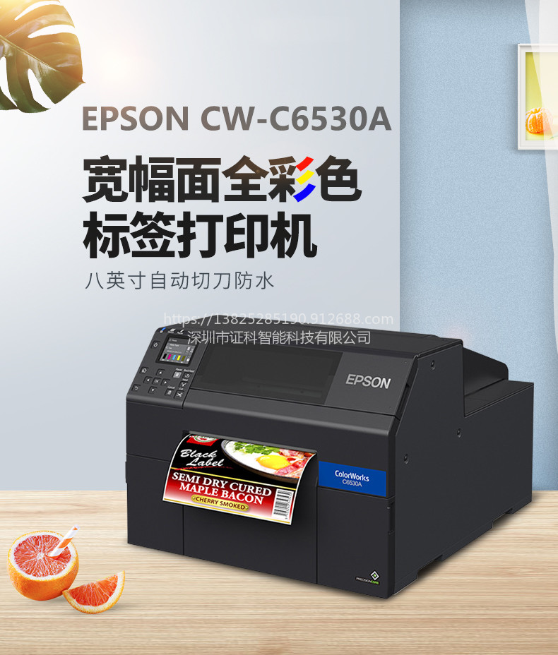 Epson/爱普生化学品彩色标签彩色打印机CW-C6530P