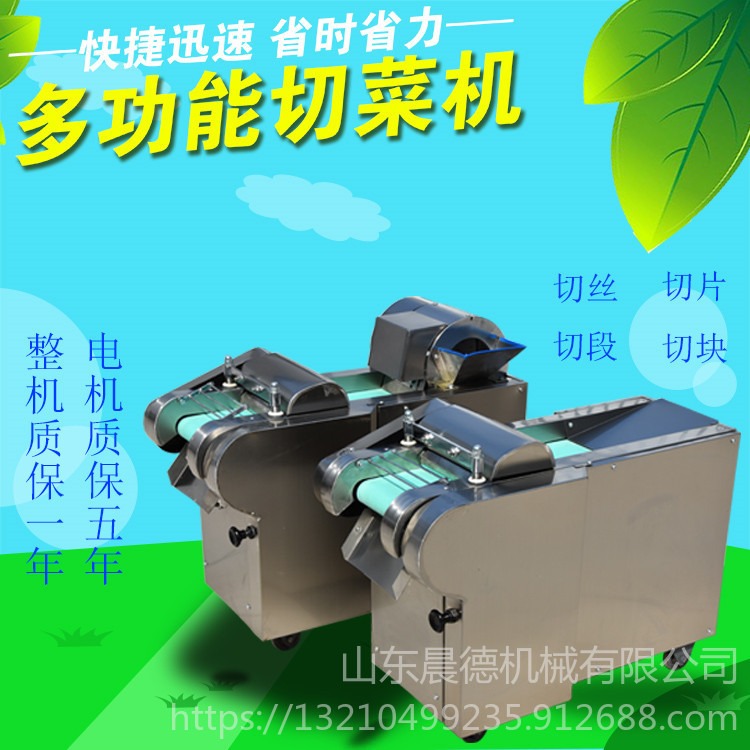电动切菜机 蒜苔豆角不锈钢切段机 粗细可调土豆切丝机晨德机械CD-1000