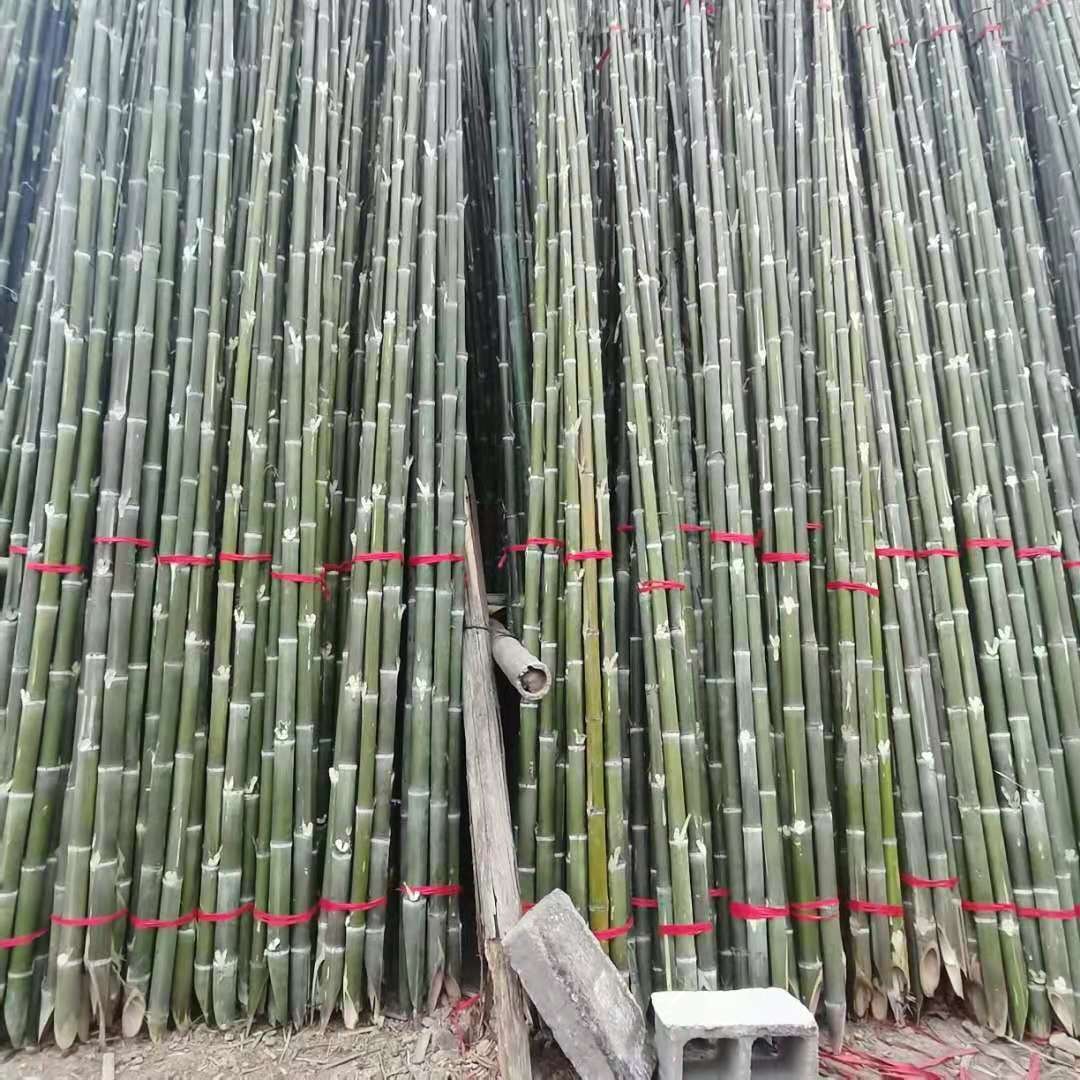 上海树木支撑竿  园林绿化支撑杆长短粗细可定制