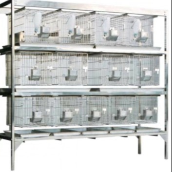 不锈钢干养式实验兔笼 型号:JV222-RB42-12库号：M59100图片