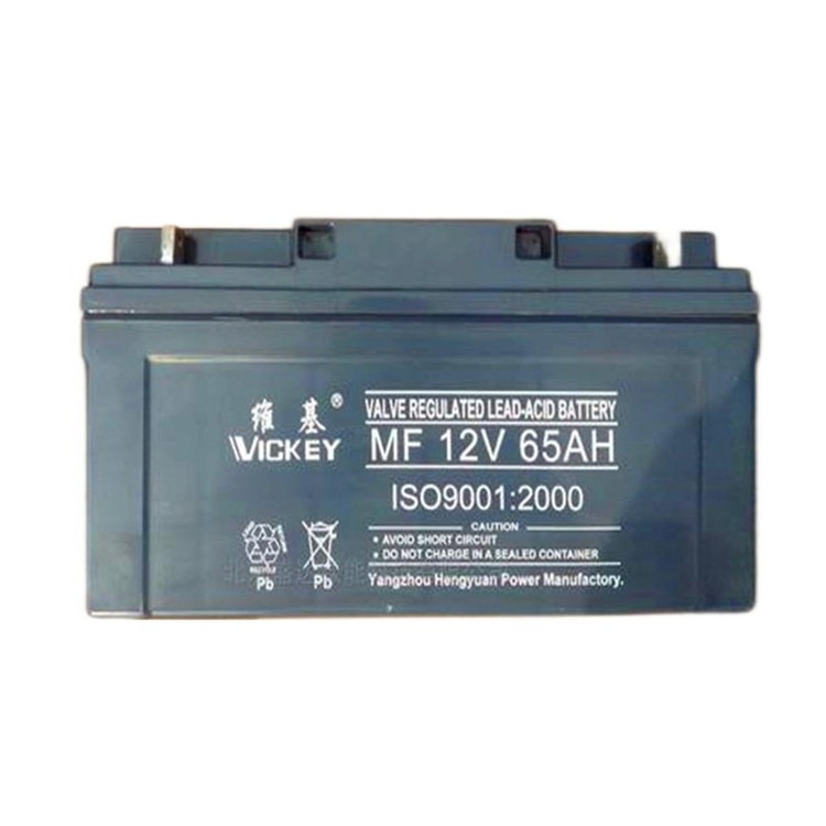 维基蓄电池MF12V65AH铅酸免维护型12V65AH直流屏 UPS电源配套使用