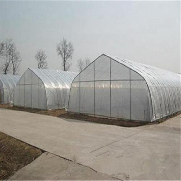 蔬菜大棚搭建公司 牡丹江穹顶集成温室旭航温室大棚设计